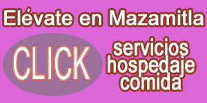 ELEVATE EN MAZAMITLA